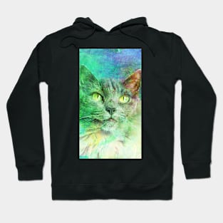 Abstract Art With Beautiful Cat Hoodie